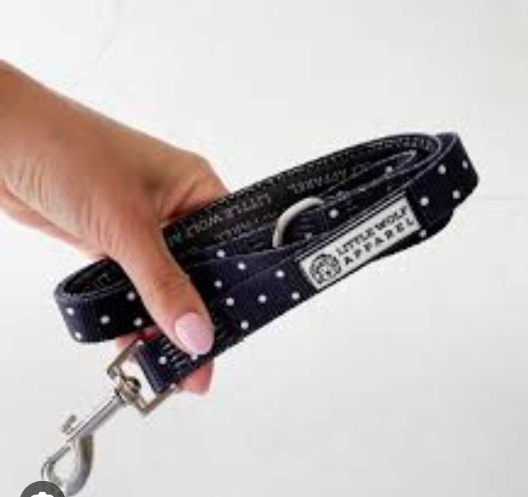 Polka Dot Dog Lead