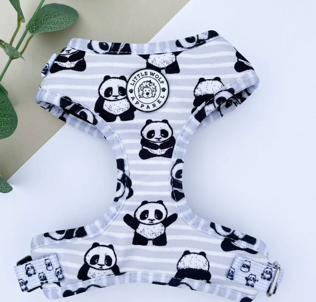 Pablo the Panda Harness size XS