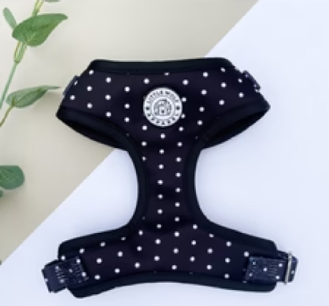 Polka Dot size XS